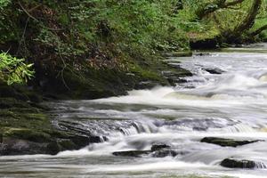 escena de cascada y río foto