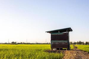 Low angle view, old wooden and zinc huts mounted on a barren brown mound. photo