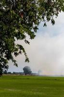 humo sobre campos de arroz con hojas verdes. foto