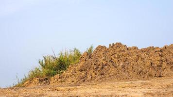 A hillside view of a large pile of soil with weeds growing close up on the ground. photo