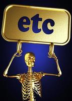 etc word and golden skeleton photo