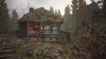 cabana de madeira na floresta de pinheiros no verão video