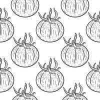 Tomatoes seamless vintage pattern vector illustration