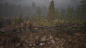 un vecchio recinto di legno con un campo di campagna dietro di esso video