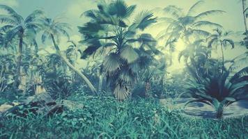 fondo de rama de árbol de hojas de palma natural