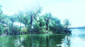 lac pittoresque dans le parc d'été video