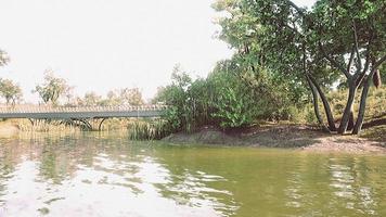 prato verde nel parco cittadino con palude sotto la luce del sole video