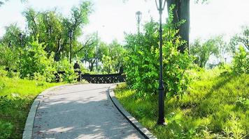 vista panorámica de un sinuoso camino de piedra a través de un tranquilo parque verde de la ciudad video