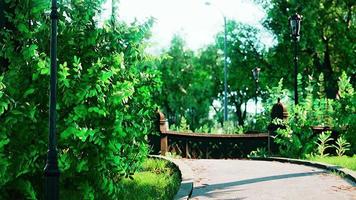 Stone Path through a Peaceful Green Park video