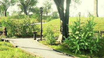 vista panoramica di un tortuoso sentiero in pietra attraverso un tranquillo parco cittadino verde video