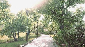 vista panorâmica de um caminho de pedra sinuoso através de um parque verde pacífico da cidade video