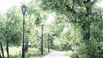 Malerischer Blick auf einen gewundenen Steinweg durch einen friedlichen grünen Stadtpark
