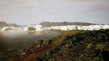 paysage de la nature arctique avec des icebergs dans le fjord de glace du groenland video
