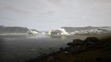 Arctic nature landscape with icebergs in Greenland icefjord video