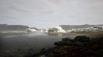 icebergs bleus de l'antarctique avec des paysages antarctiques gelés et enneigés video