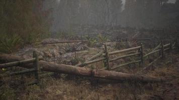 An old wood fence with a country field behind it video