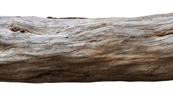 Isolated close-up of a large tree log. photo