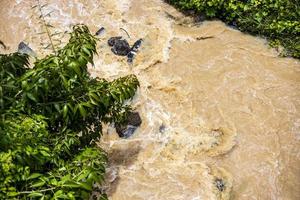 Top view Wild water flows violently through the rocks and shrubs. photo