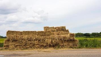 Many bales of straw lay beside the paved road. photo