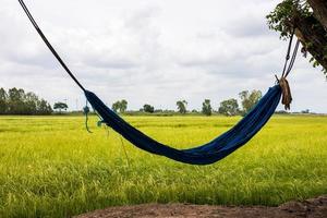 Hammock, nylon netting, blue blinds and green rice fields. photo