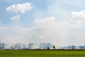 A lot of smoke over rice fields. photo
