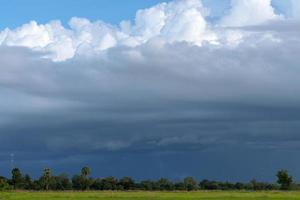 Cloudy view over the green rice fields. photo