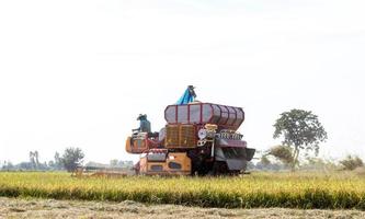 Low angle view Combine harvesters. photo