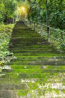 Old concrete staircase on the hillside forest. photo
