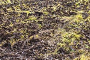 The ground background and the grass in the field that was plowed. photo