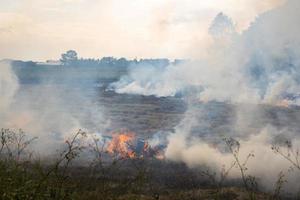 A view of the many smoke from the burning of straw in the rice fields. photo