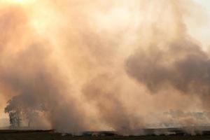 A lot of smoke from burning stubble. photo