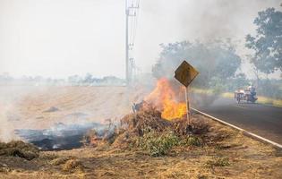 Views of blazes burning dry grass, creating clouds of smoke in the wind. photo