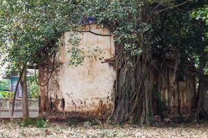 Banyan Buddhist church ruins. photo