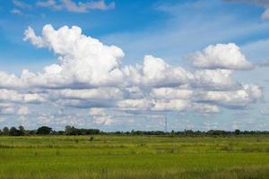 Cloudy sky over paddy countryside.