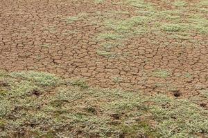 Background barren ground. photo