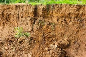 Coastal erosion, land slides. photo