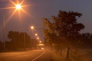 Street lamps with trees and fog. photo
