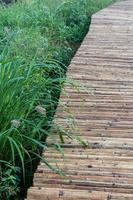 Close up of bamboo bridge with weed grass. photo