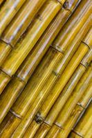 Close up bamboo wall background. photo