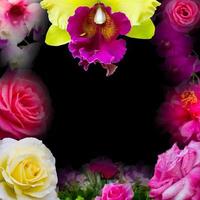 orquídeas, rosas, hermoso marco de fotos. foto