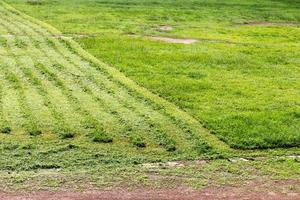 Background traces mower. photo
