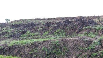 Coastal mound with grass. photo