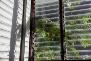 A spooky leaf shadow background view with light shining through a glass louvered window. photo