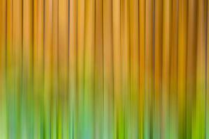 Desenfoque vertical abstracto como pared de bambú. foto