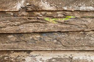 Wooden walls disintegrated because termites. photo