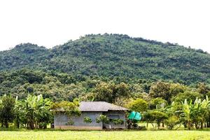 una casa en un parque bananero cerca de la montaña. foto