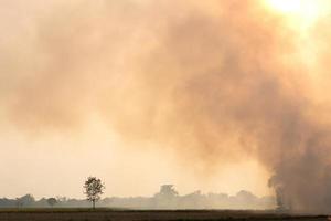 A lot of smoke from burning stubble rice straw. photo