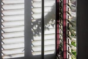 Close-up view of spooky leaf shadows with lights shining through a glass louvered window. photo