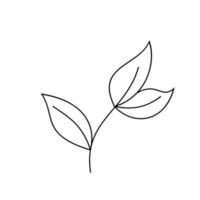 Illustration of Leaf Line Art vector