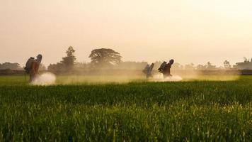Rice farmers spraying. photo